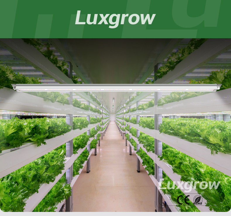 full spectrum led grow lights for seedlings