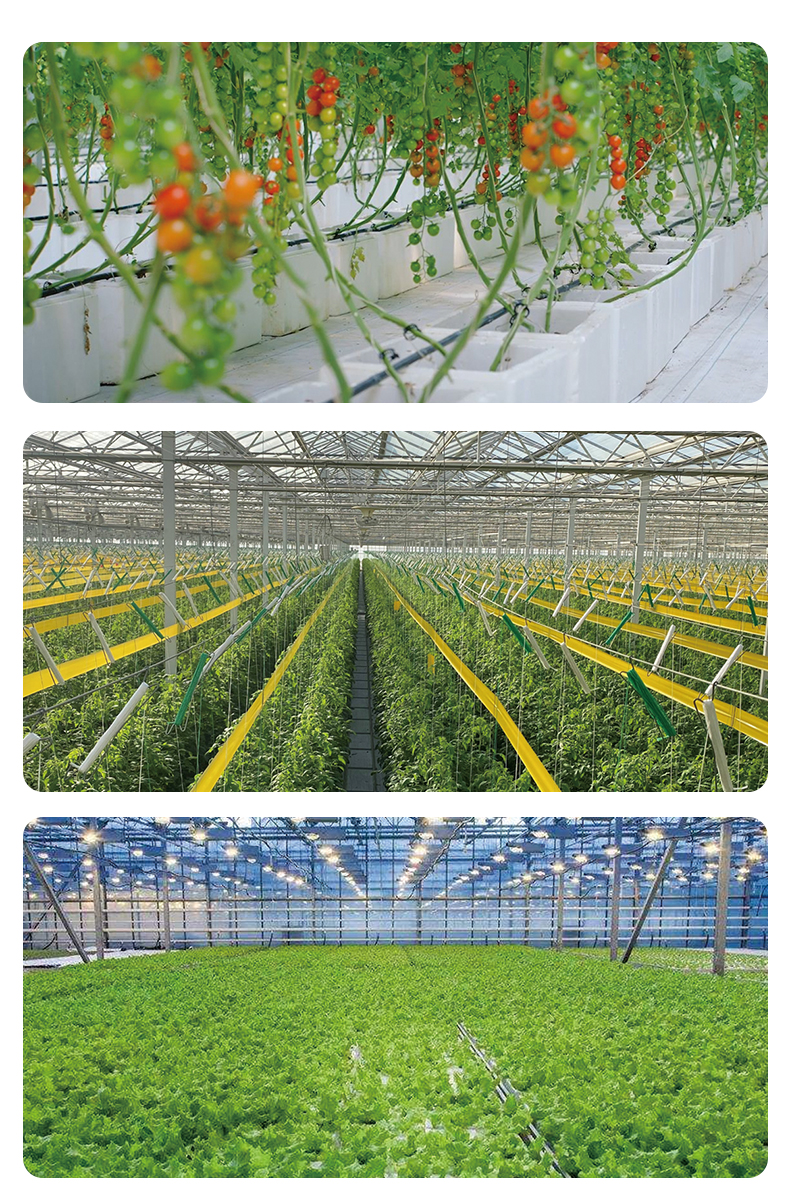 full spectrum led grow lights for seedlings