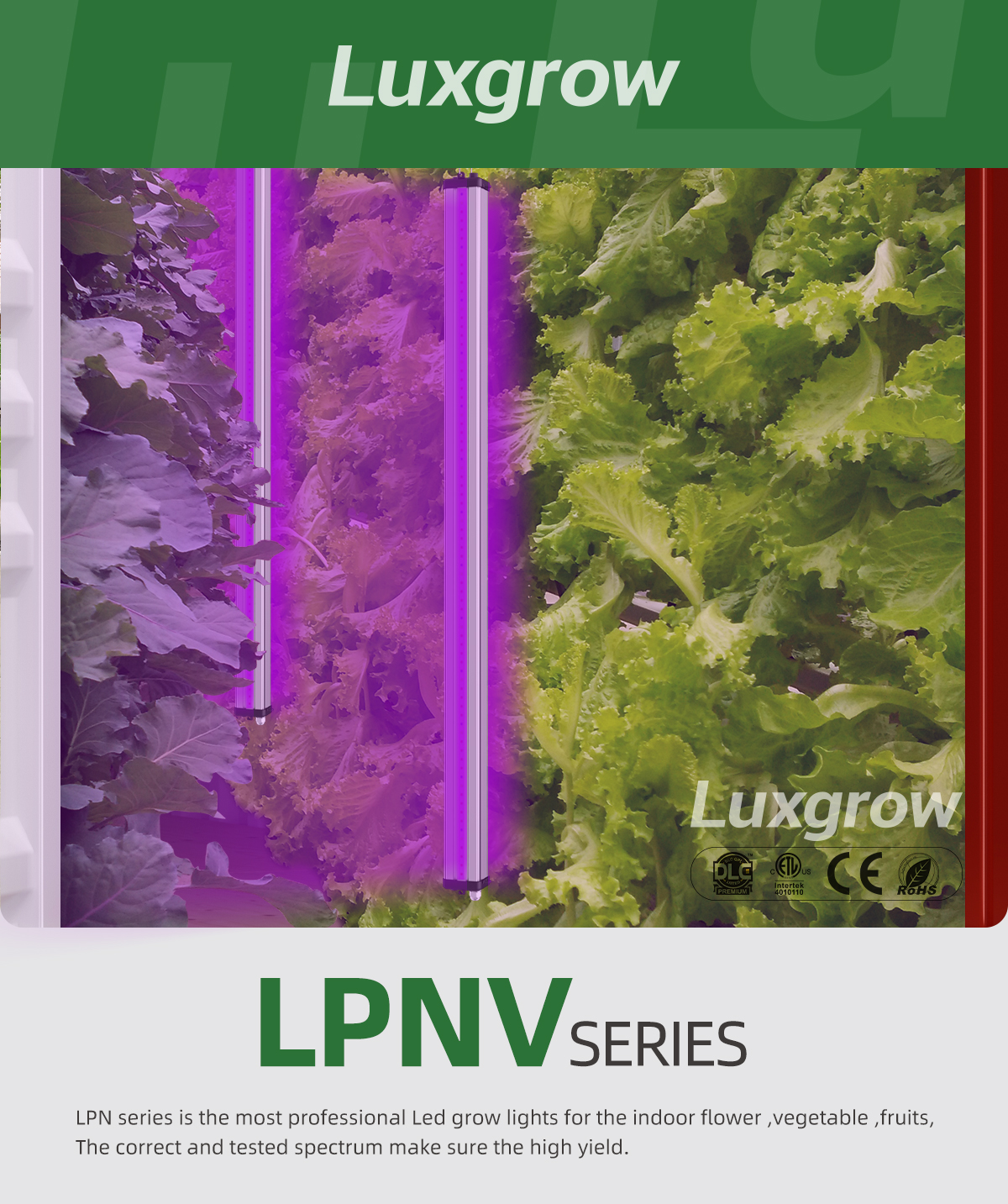 best grow lights for indoor plants