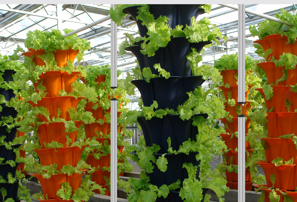 best grow lights for indoor plants