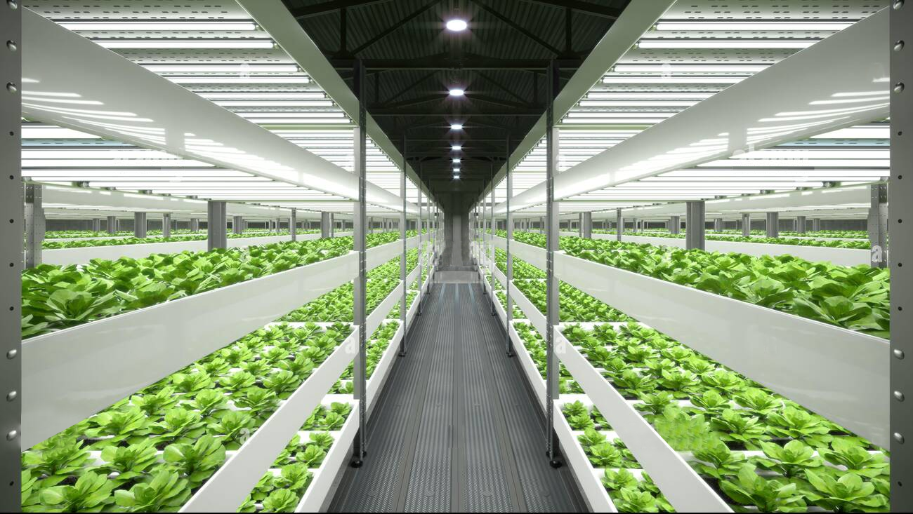 Agriculture Indoor Cultivation