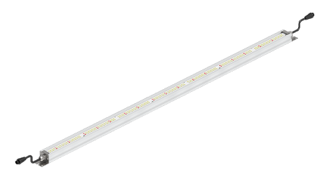 LPNS55J-SL 55w