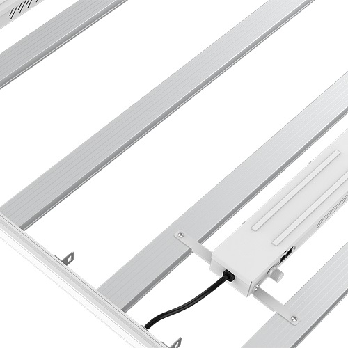 How far should grow lights be placed from plants?