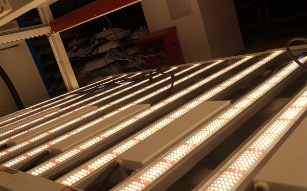 How high is the temperature of the radiator of the plant lamp?