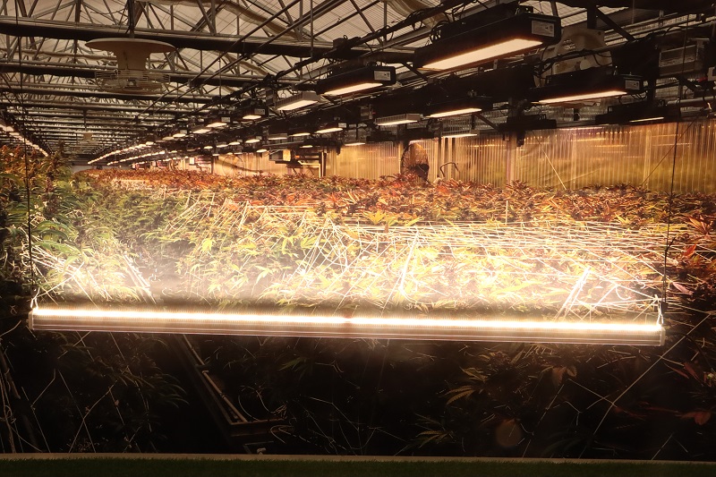 Will the sealing and reflective material of the grow tent affect the lighting effect?