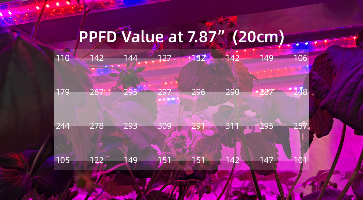 Understand the PPFD and DLI values required for each growth stage of vegetables at a glance with this chart