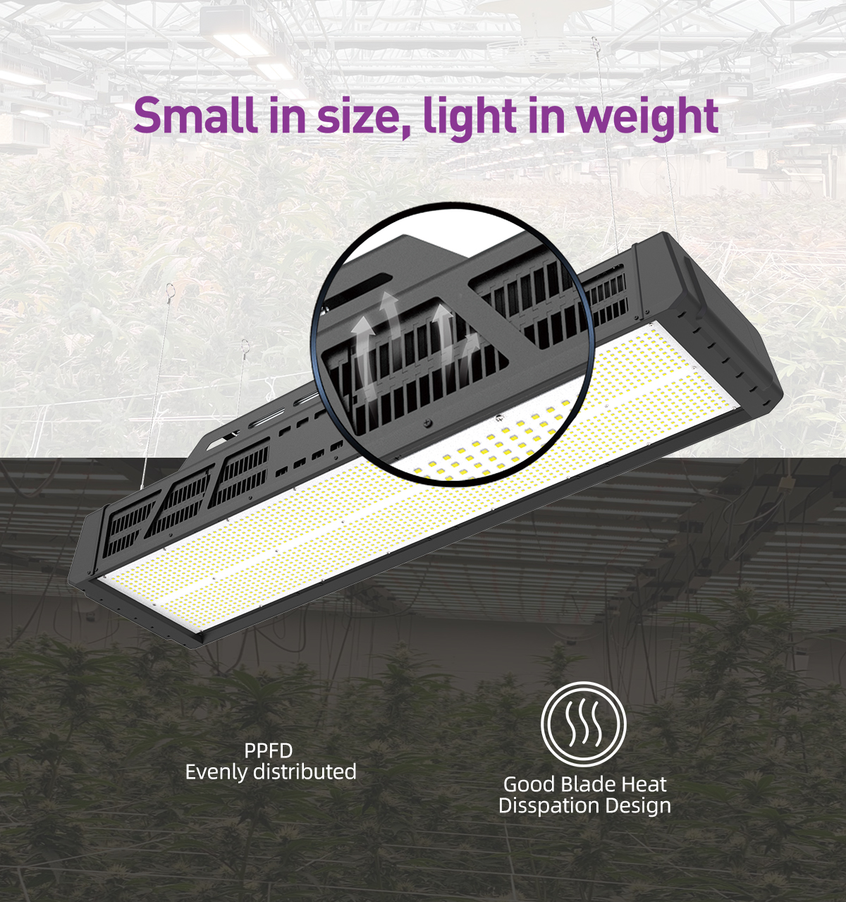 Led Grow Light 