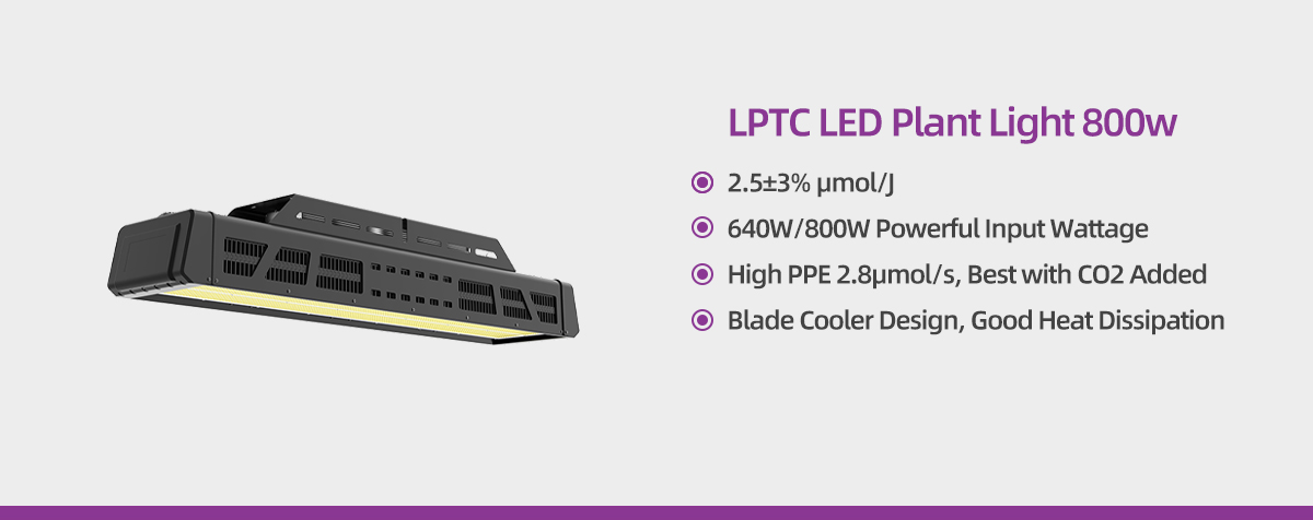 Led Grow Light 