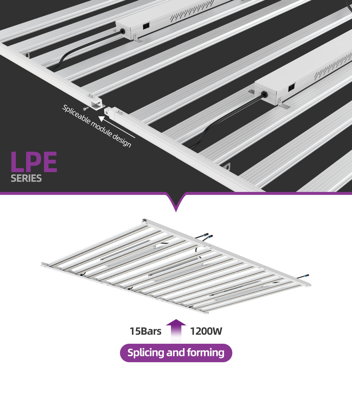 LED grow light 
