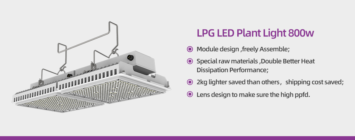 led grow light full spectrum