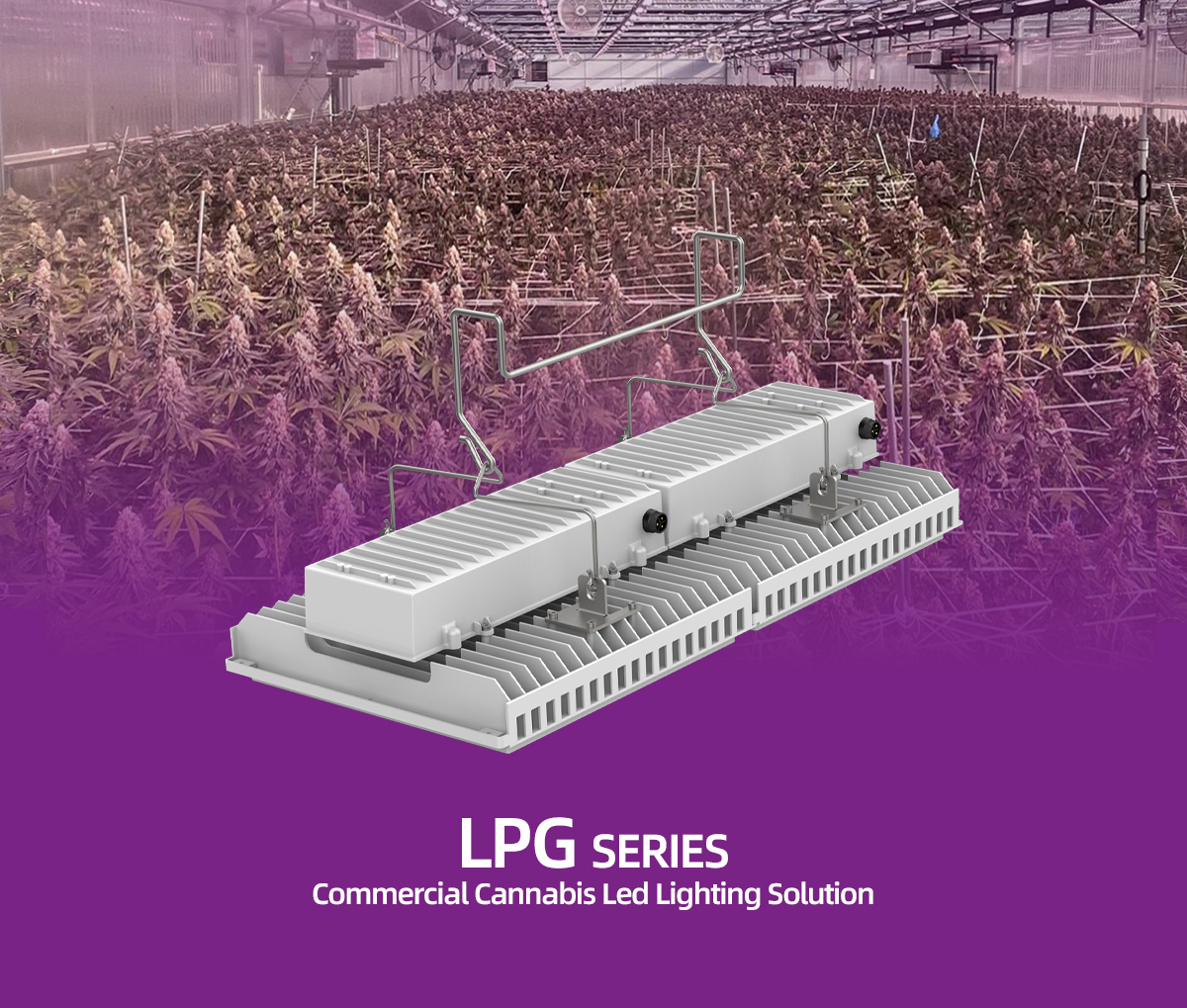 led grow light full spectrum