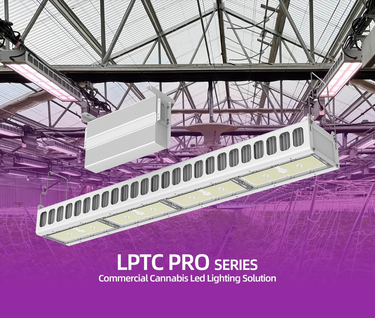 Can Any LED Light Be Used as a Grow Light?