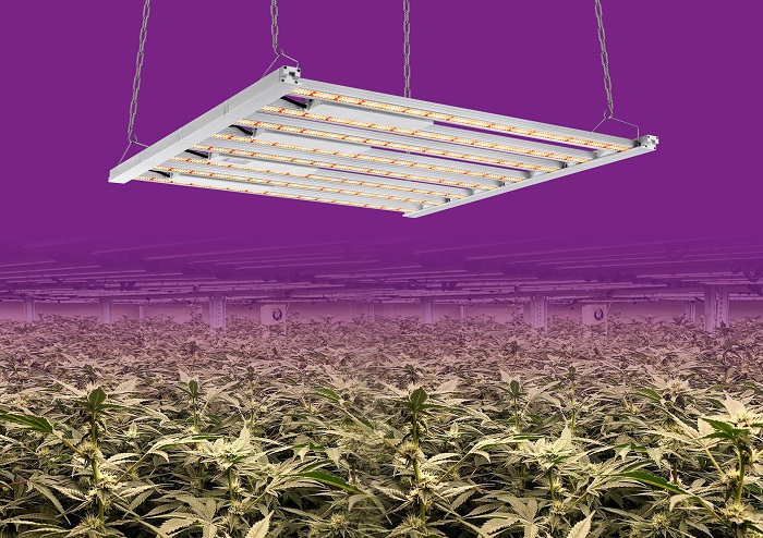 What are the pros and cons of Luxgrow LED grow lights?