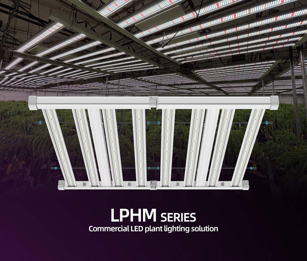 Why do vertical farms choose LED grow lights?