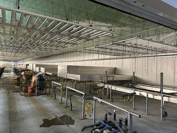 Why choose LED light strips for large-scale commercial planting?