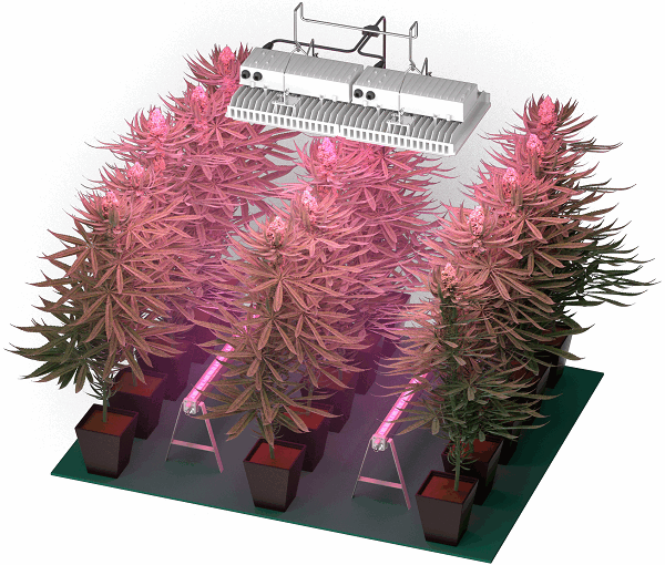 Key indicators for measuring the effectiveness of LED grow lights