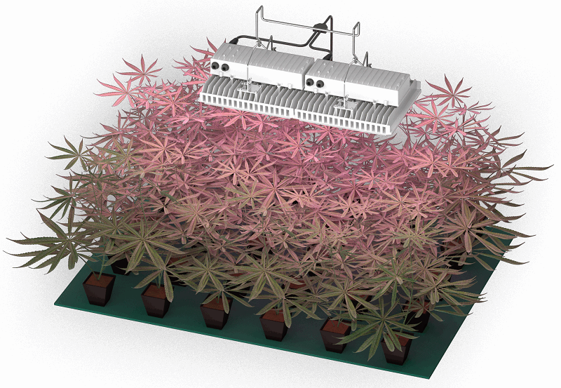 What are the benefits of smart greenhouses for crop growers?