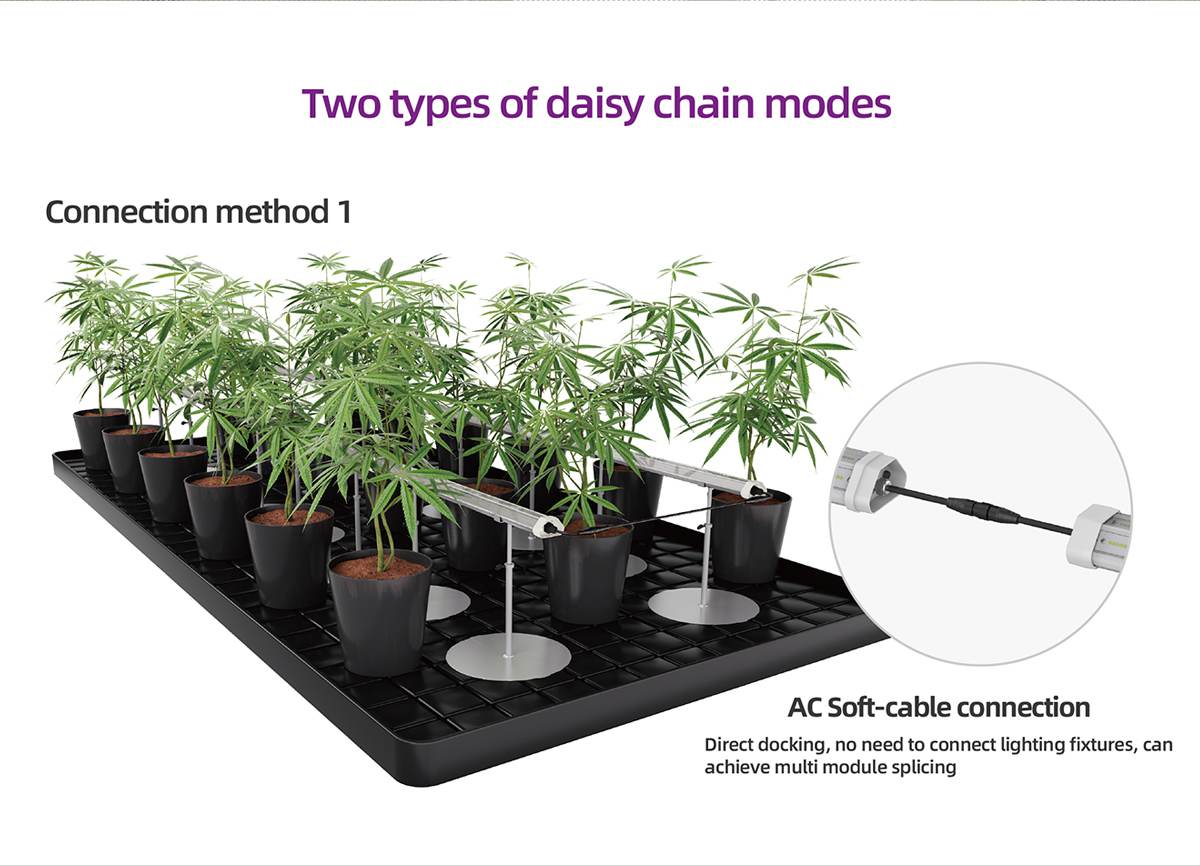 Will high temperatures associated with LED grow lights affect plant growth?