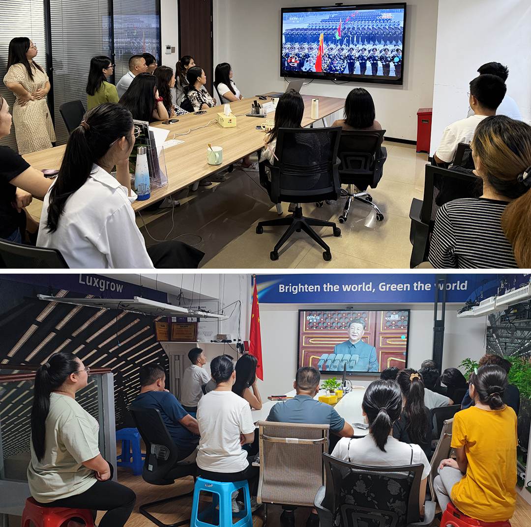 Luxgrow organized all employees to watch the "September 3rd Military Parade" ceremony