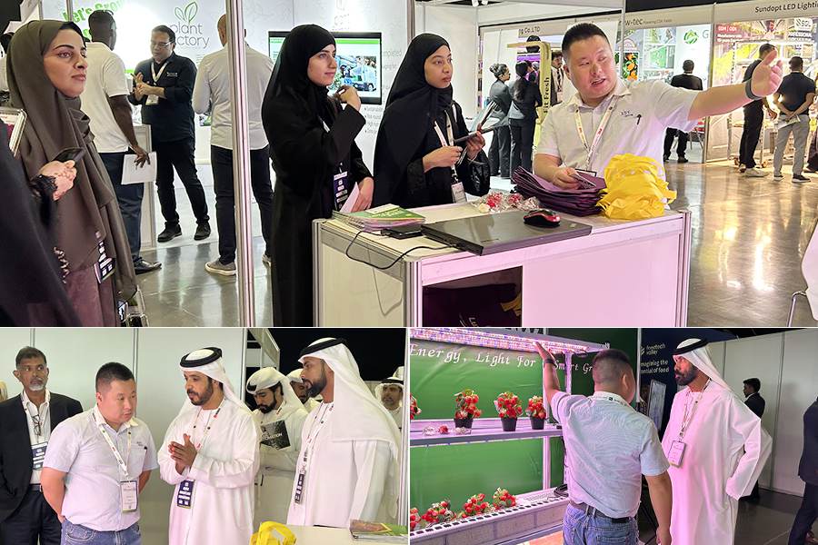 Luxgrow is in progress at the 2025 Dubai Vertical Agriculture Lighting Expo
