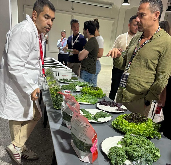 Common Misconceptions about Light Management