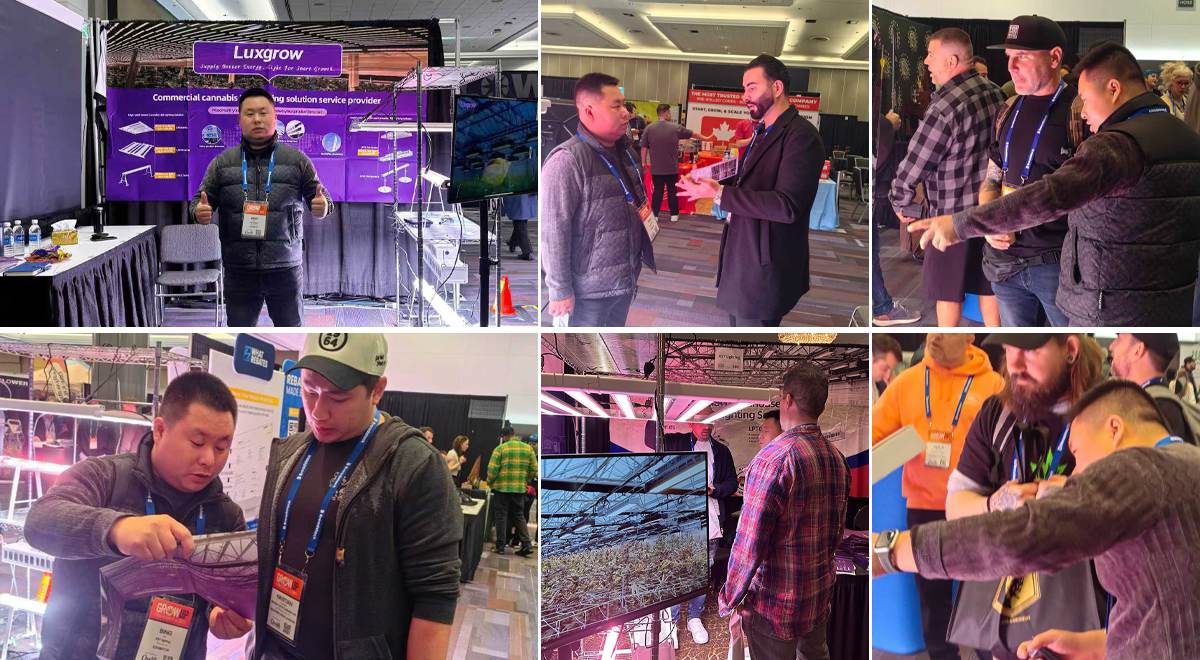 Luxgrow led grow light