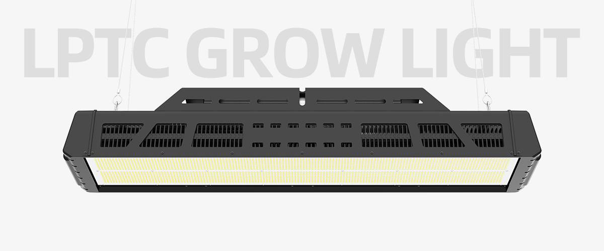 LPTC-800w-grow-light