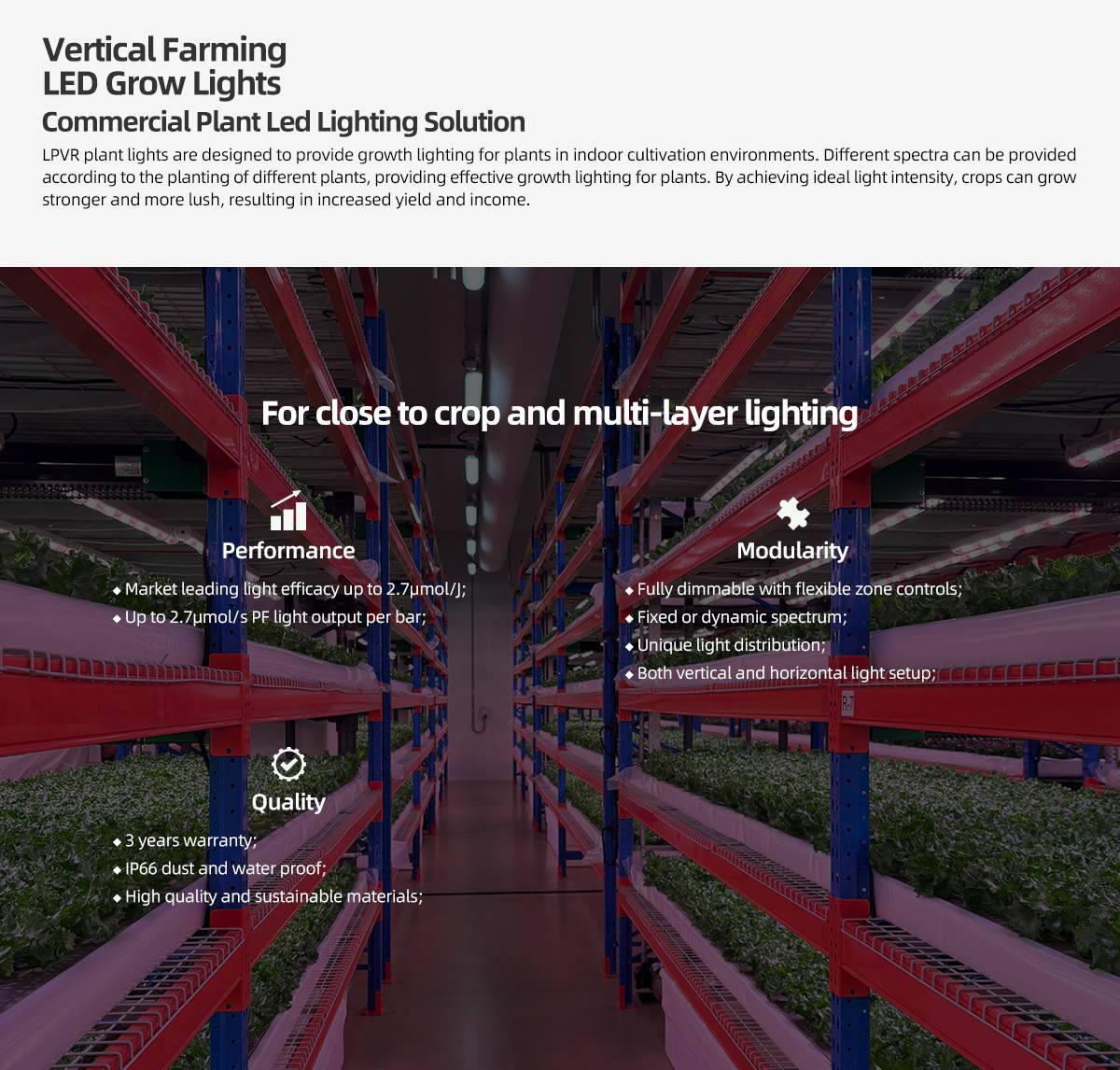 Vertical Farming Grow Lights