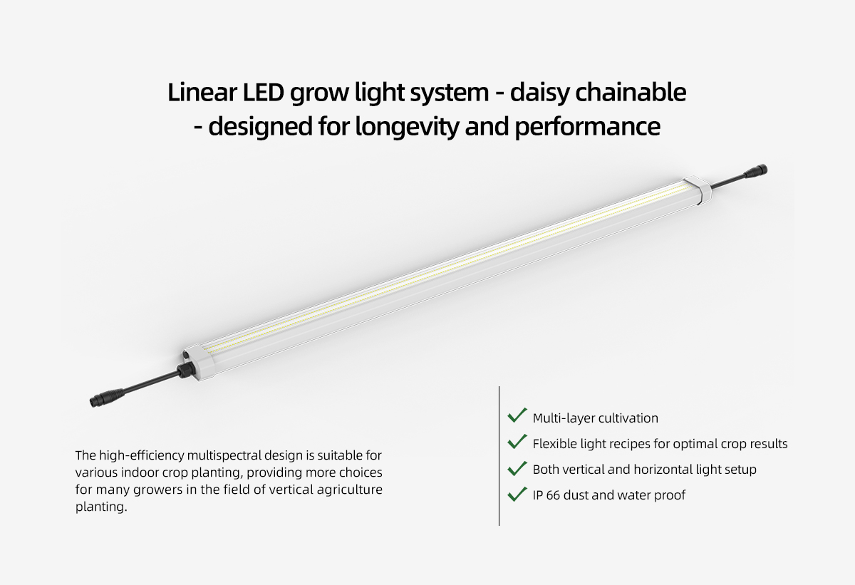 vertical farming led lighting
