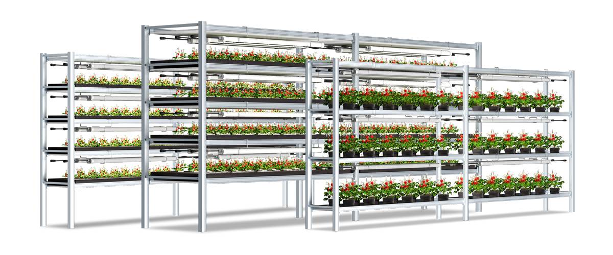 led-grow-lights-for-strawberries led-grow-lights-for-strawberries