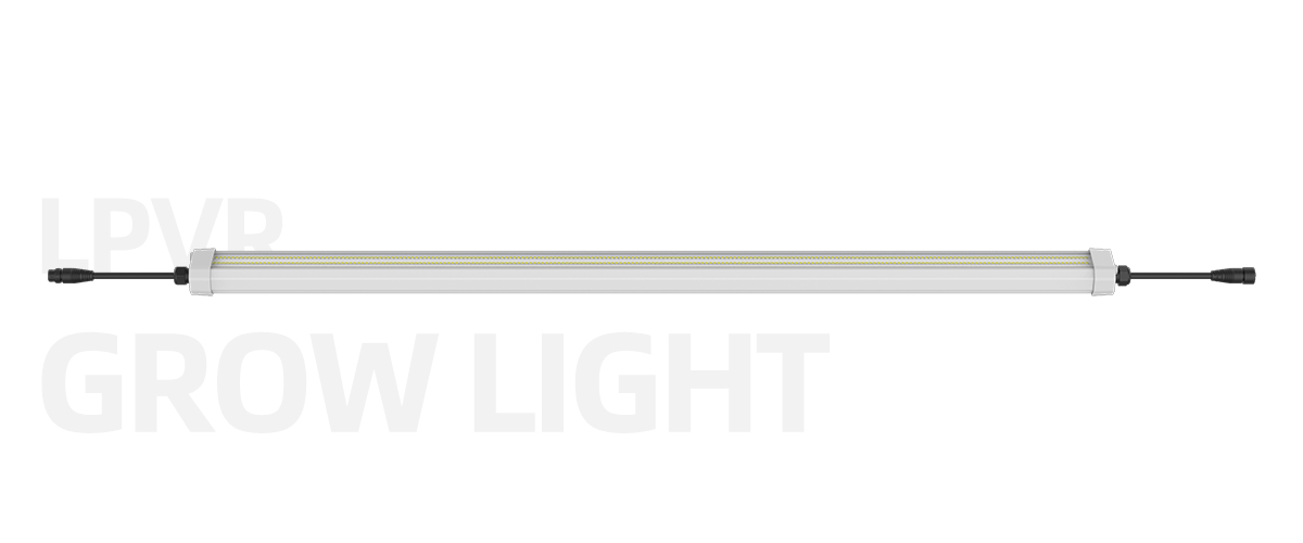 led-grow-lights-for-strawberries led-grow-lights-for-strawberries