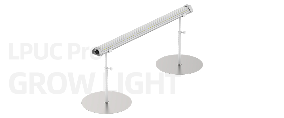 LPUCP-grow-light.jpg