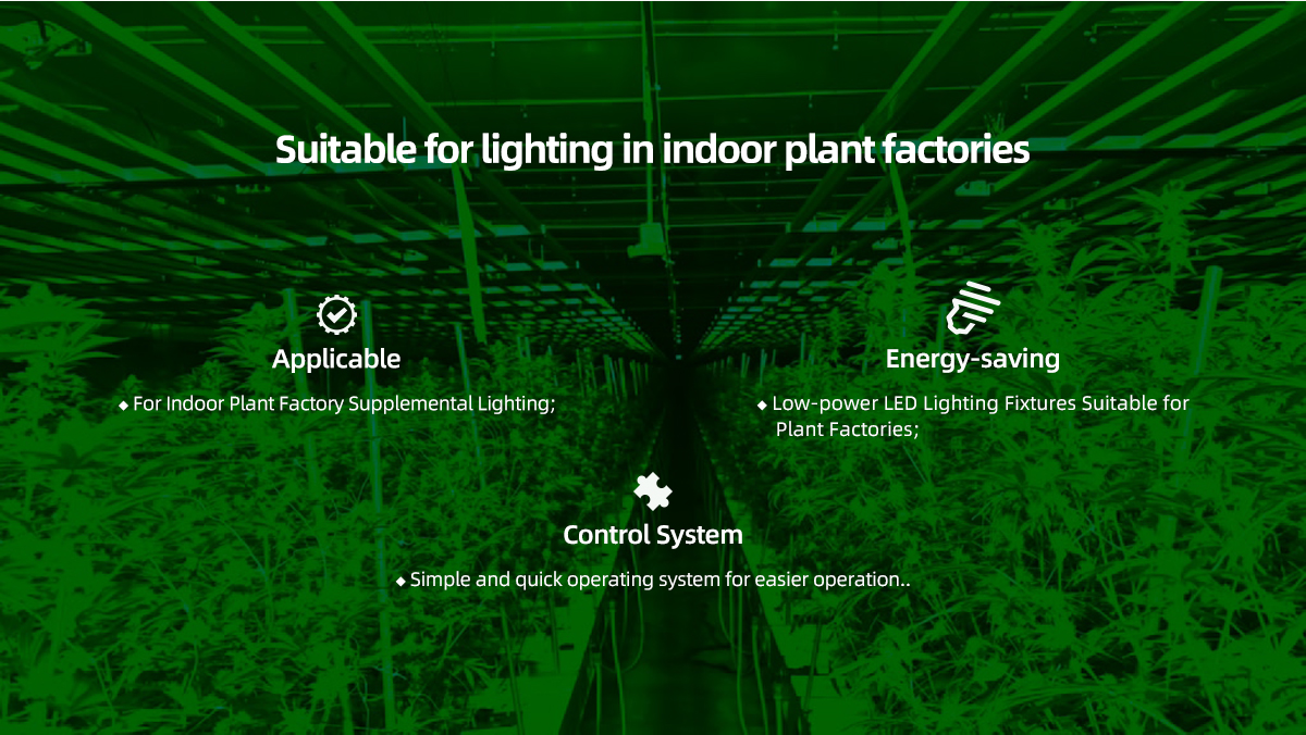 LPUG-Grow-light_02.jpg