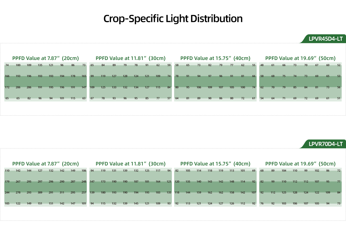 Strawberry-grow-light.jpg Strawberry-grow-light.jpg