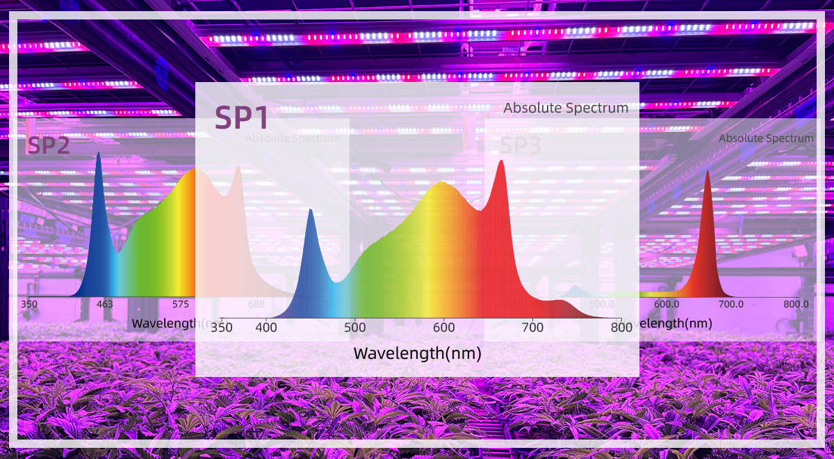 2026 Grow Light Buying Guide: Spectrum, PPFD & Heat Dissipation Fully Explained
