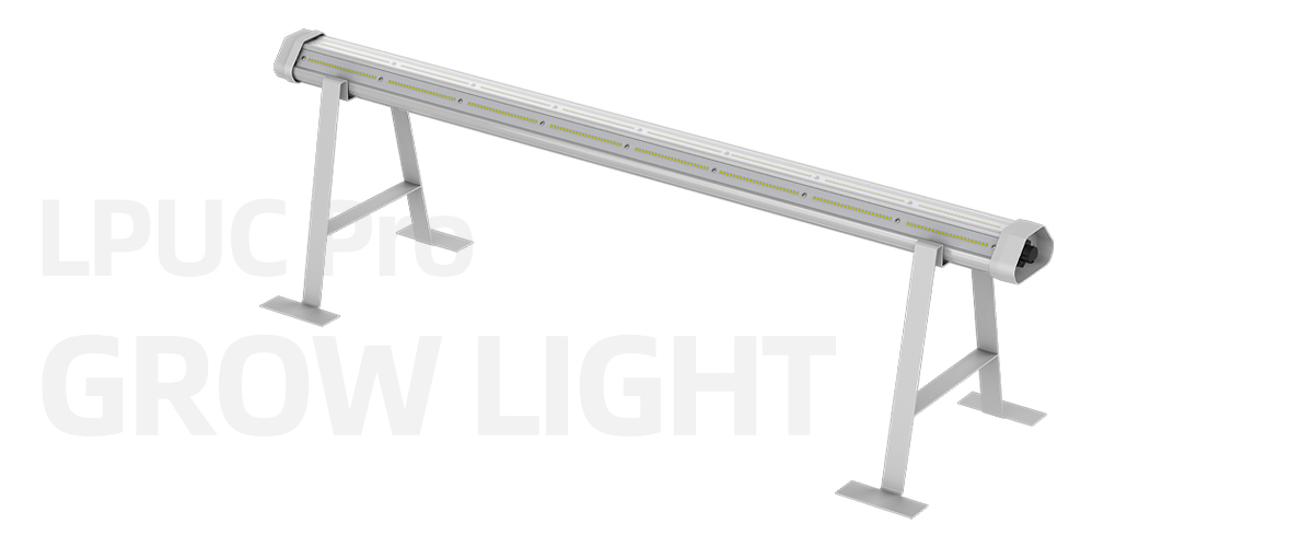 under-canopy-grow-lights.jpg