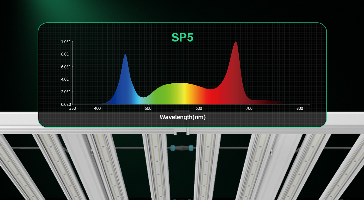 LED Grow Light Spectrum Explained | Do LED Lights Grow Plants?