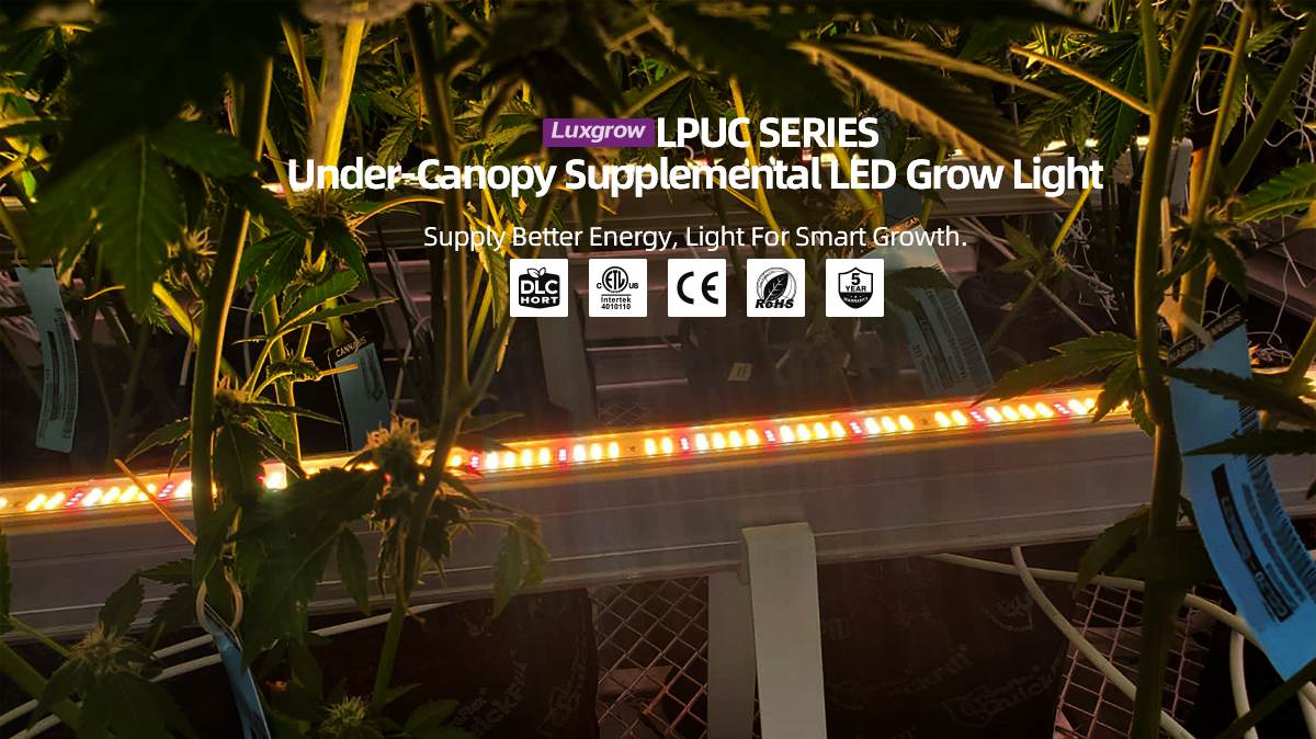 Luxgrow-under-canopy-led-grow-lights_01