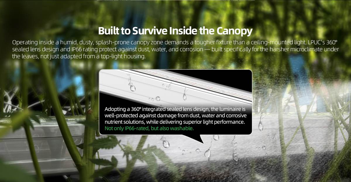 Luxgrow-under-canopy-led-grow-lights_06